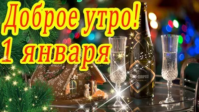 Приколы 1 января: фото и картинки (28 шт)