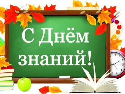 1 сентября - День знаний :: Krd.ru