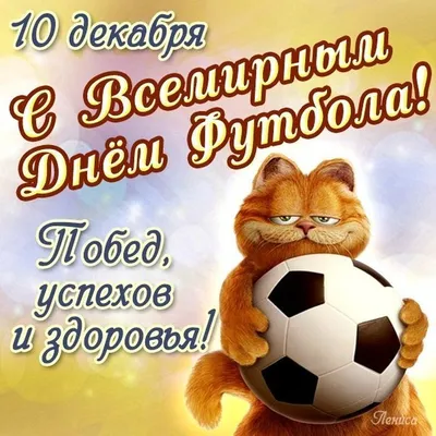 10 декабря – Всемирный день футбола! | Региональная спортивная федерация  футбола Приморского края