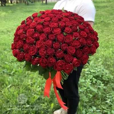 Букет 101 красная роза Киев - купить 101 красную розу с доставкой