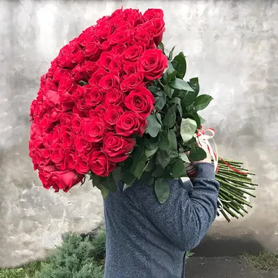 Букет 101 роза эквадорская красная 60 см - купить в Омске в цветочной  мастерской Лаванда