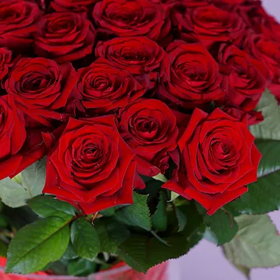 Букет 101 роза: что символизирует, как правильно подарить, какие цвета  выбрать - Букеты СПб