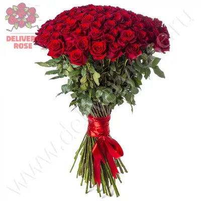 🔥 Купить 101 розу с доставкой по городу Алматы. Заказать 101 розу.