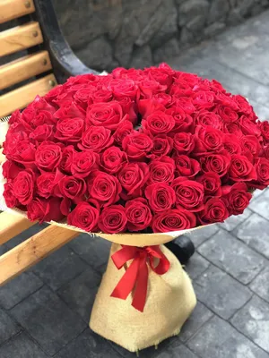 101 роза 80 см – купить премиум букет с доставкой в Москве по низкой цене