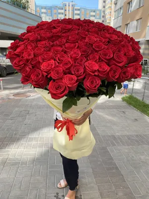 Купить Букет 101 роза (красная) в Южно-Сахалинске по цене 26 890 ₽ с  доставкой