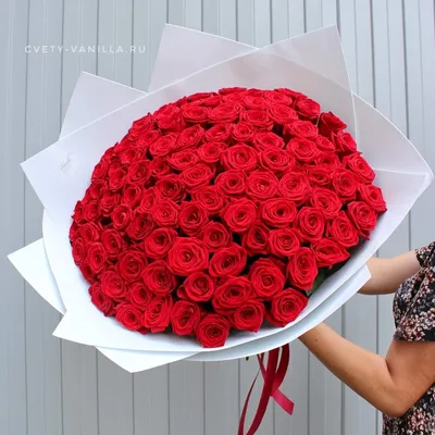 Букет из 101 розовой розы | купить недорого с доставкой на Roza4u.ru