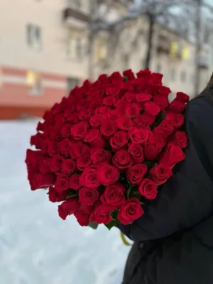 1️⃣ 101 роза 100 см – купить в Алматы | Голландские, местные