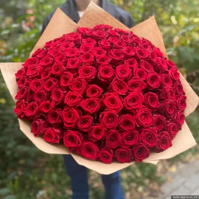 Купить букет из 101 красной импортной длинной розы 1 метр в Киеве, заказ и  доставка по Украине - Annetflowers