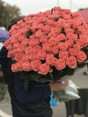Розы Красные 101 шт 65 см |
