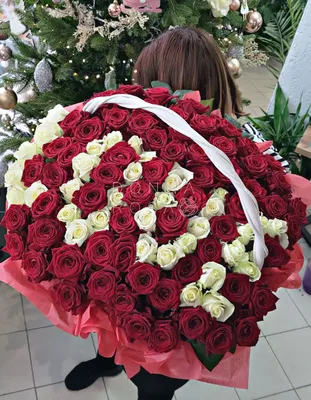 101 роза Эквадор (60 см)