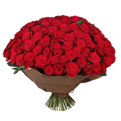 101 метровая роза в Шымкенте заказать с доставкой 🌷