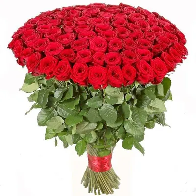Букет из 101 розы \"Сердечная благодарность\" | Цветы Саранск - Магазин  \"Эквадор\"
