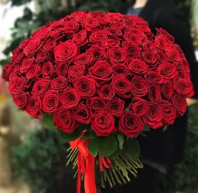 Букет 101 роза Джумилия в упаковке, заказ и доставка в Киеве | TORY