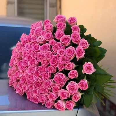 101 роза купить | Купить 101 розу в Москве | Интернет-магазин  dakotaflora.com