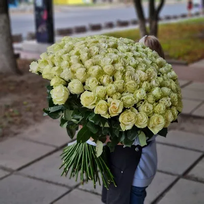 101 роза 50см купить с доставкой по Томску: цена, фото, отзывы