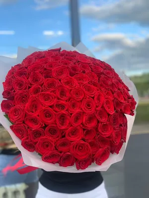 Высокая 101 роза 100 см 18999 руб. Гигантские розы. - Купить розы дёшево  Эквадор 80 руб. Доставка роз СПб 🌹SPBROSA
