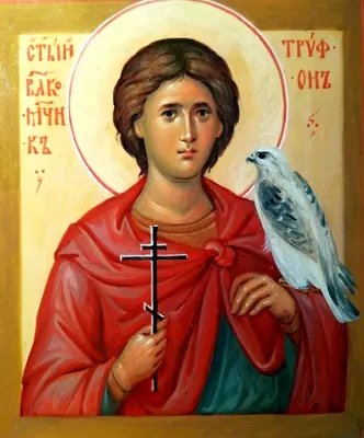 Святой мученик Трифон / Православие.Ru