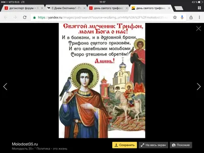 День святого Трифона: что 14 февраля отмечают православные - Жизнь -  info.sibnet.ru