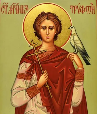 14 февраля - день памяти мученика Трифона Апамейского (250)