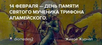 Сегодня, 14 февраля, Церковь вспоминает мученика Трифона - Православный  журнал «Фома»