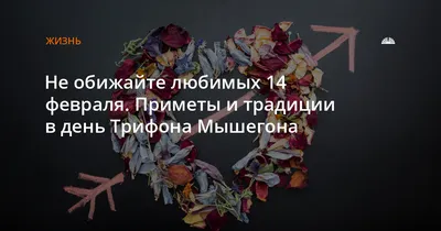 14 февраля: день святого Валентина. При чём тут коты и мыши? - Новости  Белгорода