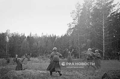 Великая Отечественная война (1941-1945) | РИА Новости Медиабанк