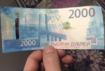 В Новосибирске пассажирка дала кондуктору фальшивые 2000 рублей за проезд |  ПРОИСШЕСТВИЯ | АиФ Новосибирск