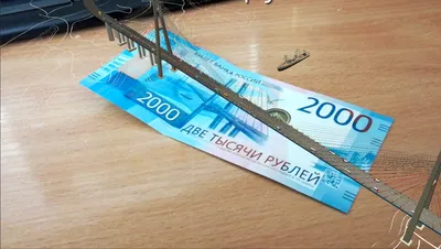 2000 рублей начислят каждому: владельцев карт «Мир» ждет сюрприз с 27  декабря