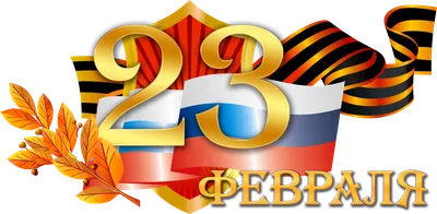 День защитника Отечества 23 февраля, 23 февраля, разное, фотография png |  PNGEgg