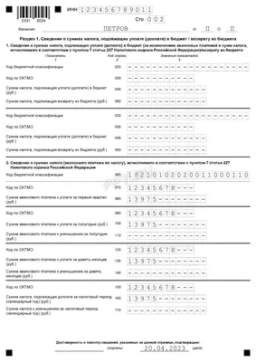 Образец заполнения налоговой декларации 3 НДФЛ в 2023 году | Скачать форму,  бланк