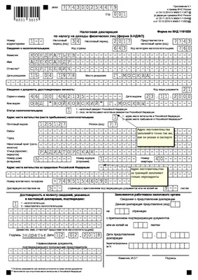 Декларация 3-НДФЛ 2017: скачать бланк, образец бесплатно