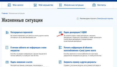 Справка 3-ндфл Декларации 3-НДФЛ для ВОЗВРАТА 13 Прочие услуги населению в  Санкт-Петербурге - Услуги на Gde.ru 05.11.2023