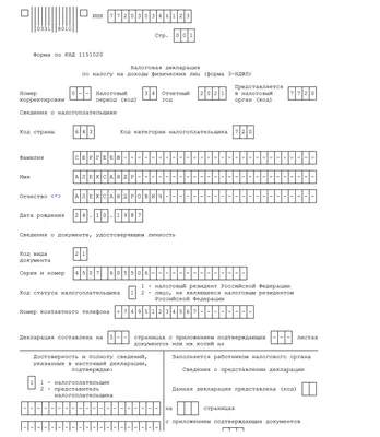Образец заполнения налоговой декларации 3 НДФЛ в 2023 году | Скачать форму,  бланк