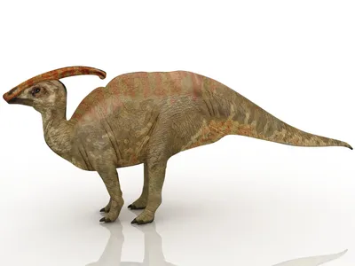 3d картинки динозавров фотографии