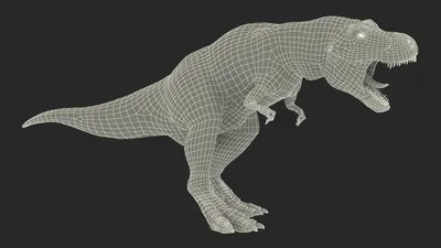 Сборная модель 1TOY 3DINO LUMINUS люминисцентный скелет динозавра купить по  цене 216 ₽ в интернет-магазине Детский мир