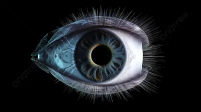 зрачок глаза показан изолированным на черном фоне, 3d рендеринг  сканирования глаз 3d рендеринг сканирования глаз 3d рендеринг сканирования  глаз иллюстрация, Hd фотография фото фон картинки и Фото для бесплатной  загрузки
