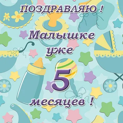 Белочка. Котенок 5 месяцев. Идти некуда | Пикабу