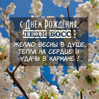 Поздравление с днем рождения начальнице с юмором – открытки, картинки,  стихи - Телеграф