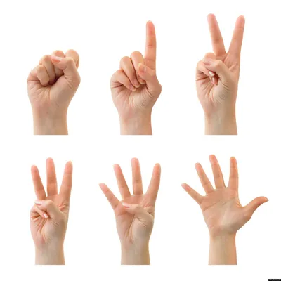 Загадочное фото: 6 пальцев на руке