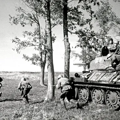 Десантники против танков: бой на острове Шумшу | Warspot.ru