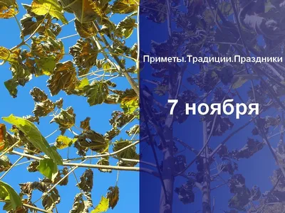 7 ноября - красный день календаря