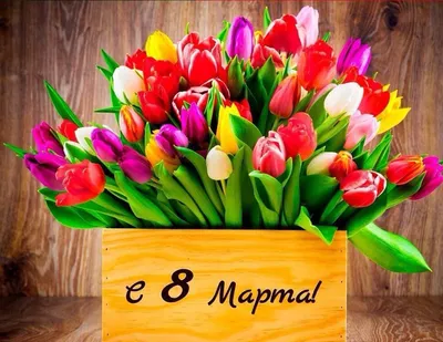 С праздником весны, любви и очарования - с 8 марта!