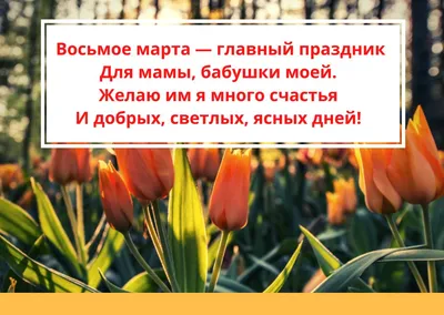 Занятие к 8 марта в начальной школе и занятие к 8 марта в детском саду «В  царстве ромашек»