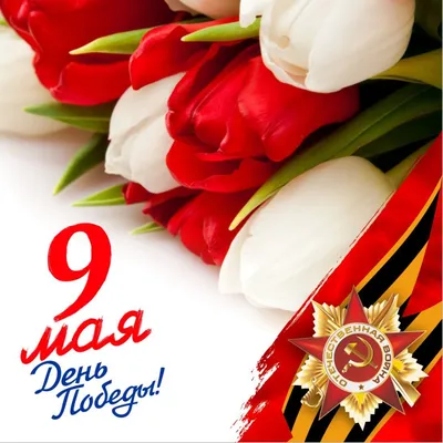 Россия День победы 9 мая цветы фон, Россия, День Победы, 9 мая фон картинки  и Фото для бесплатной загрузки