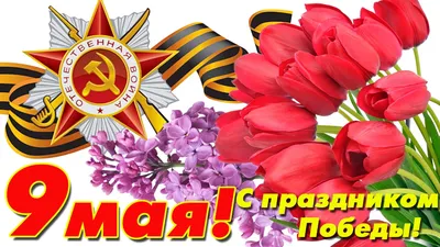Война Украина РФ – плакаты к 9 мая с надписью победа 1945-2022 в Москве –  фото
