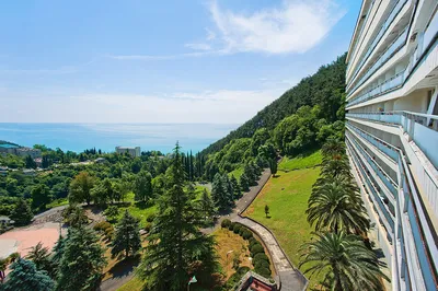 Абхазия дом отдыха солнечный фото фотографии