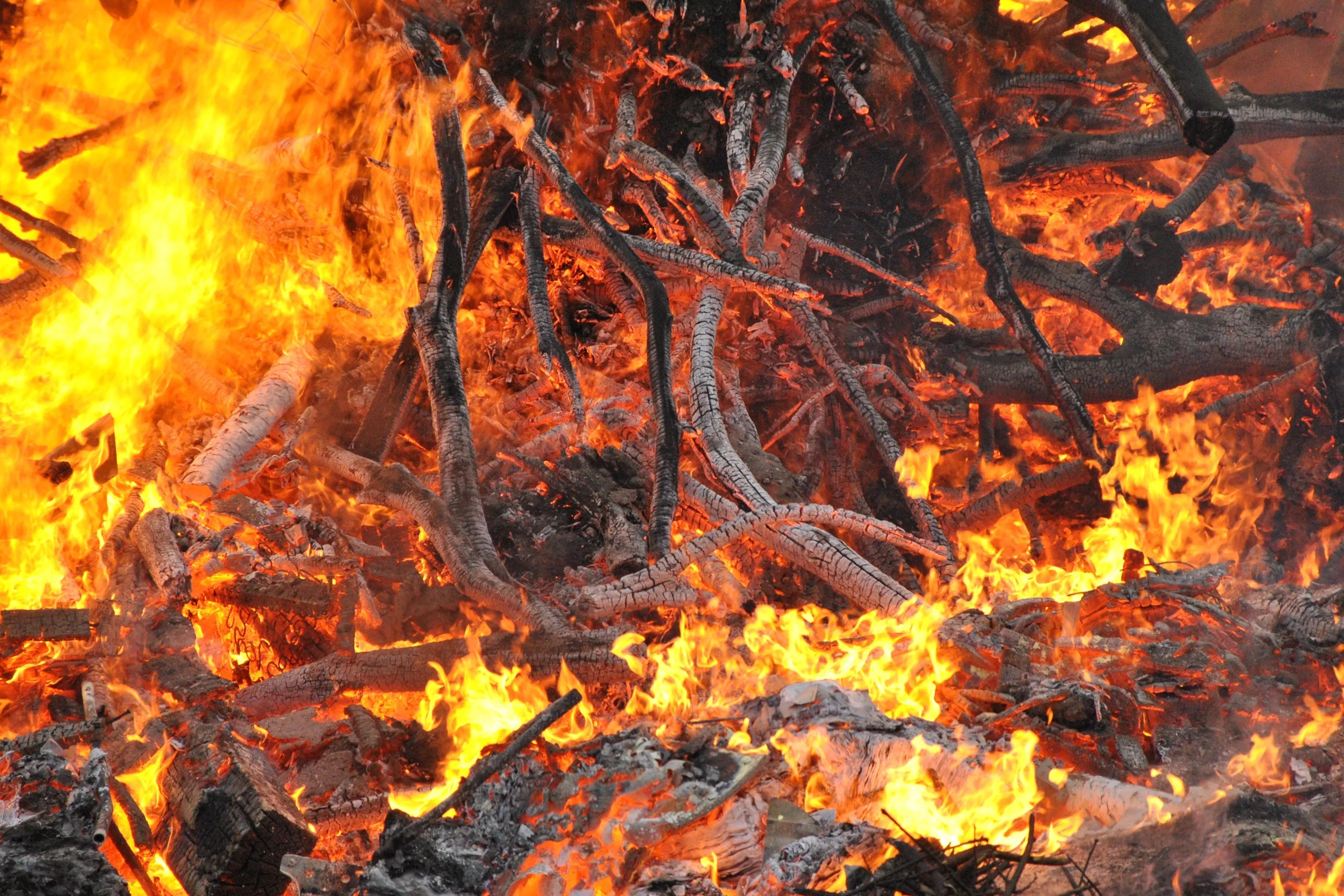 Сгоревший метал. Тлеющее дерево. Тлеющий огонь. Сгоревшее дерево. Огонь металл.