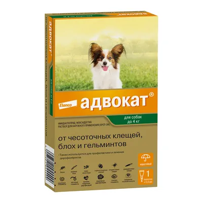 17 выдающихся адвокатов, которых никогда не было - новости Право.ру