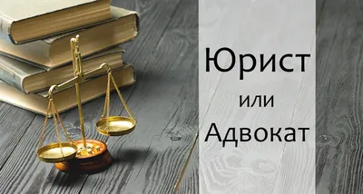 Вера Орешко: адвокат должен быть вне политики. Интервью председателя МГКА  В.Г.Орешко Sputnik Беларусь