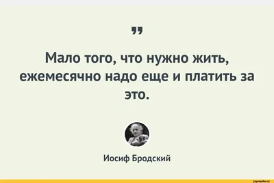 цитаты / смешные картинки и другие приколы: комиксы, гиф анимация, видео,  лучший интеллектуальный юмор.